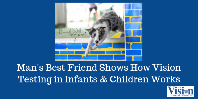 Vision Development Newborn To 12 Months American Academy